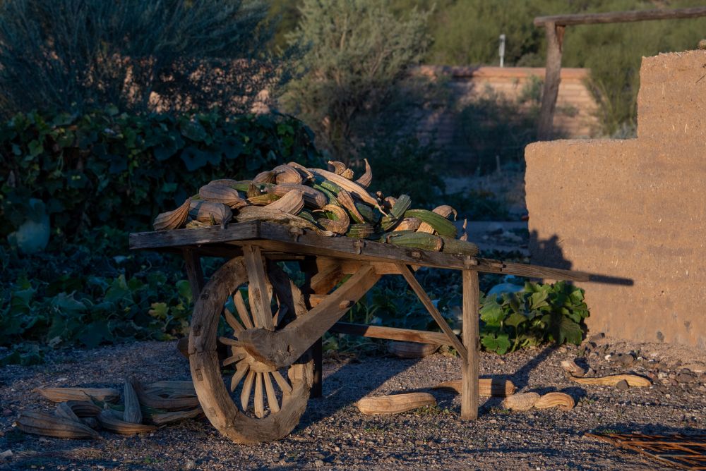 Tucson