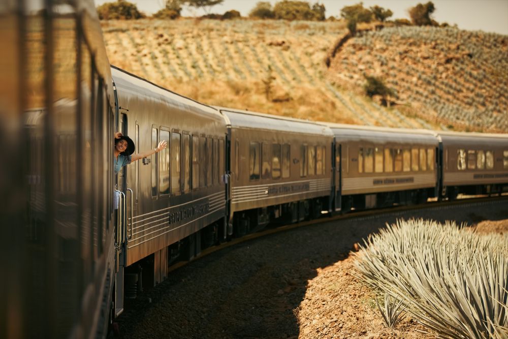 Viaje a Tequila