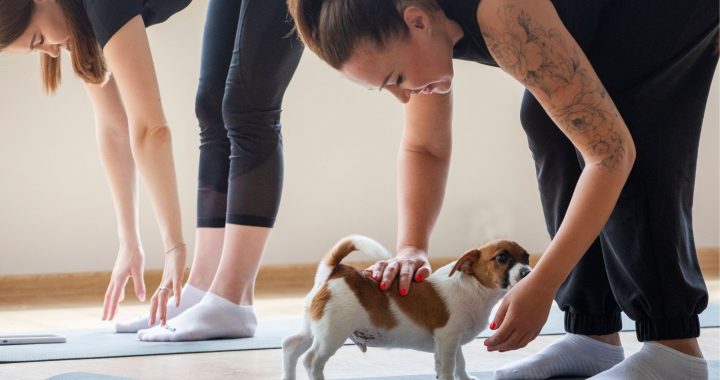 pilates perritos