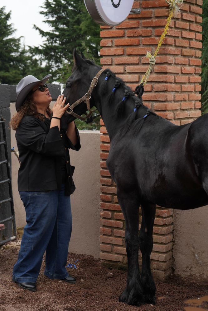 restaurante campestre y centro caballar 1
