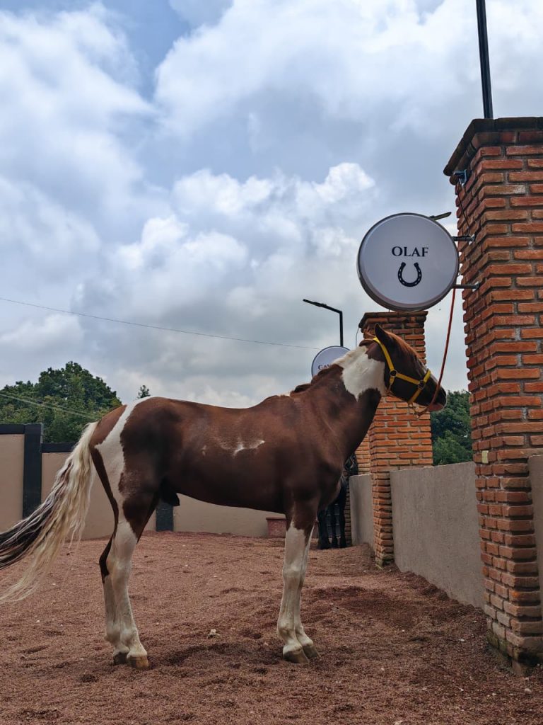 restaurante campestre y centro caballar