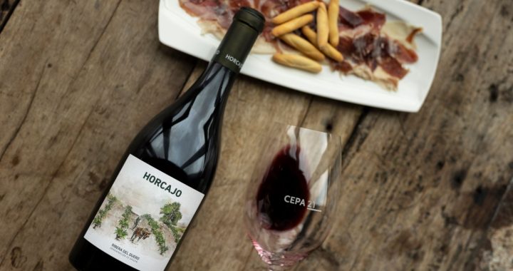 Bodegas Cepa 21