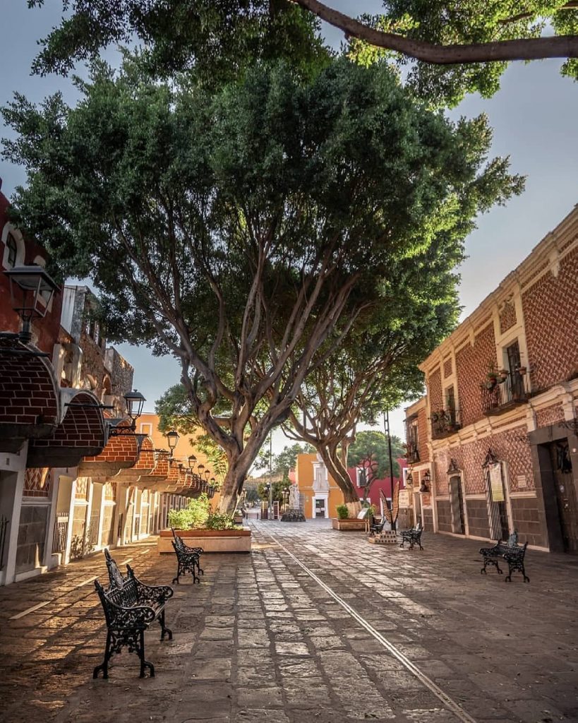 Farmear auras, plazas Barrio del Artista Puebla