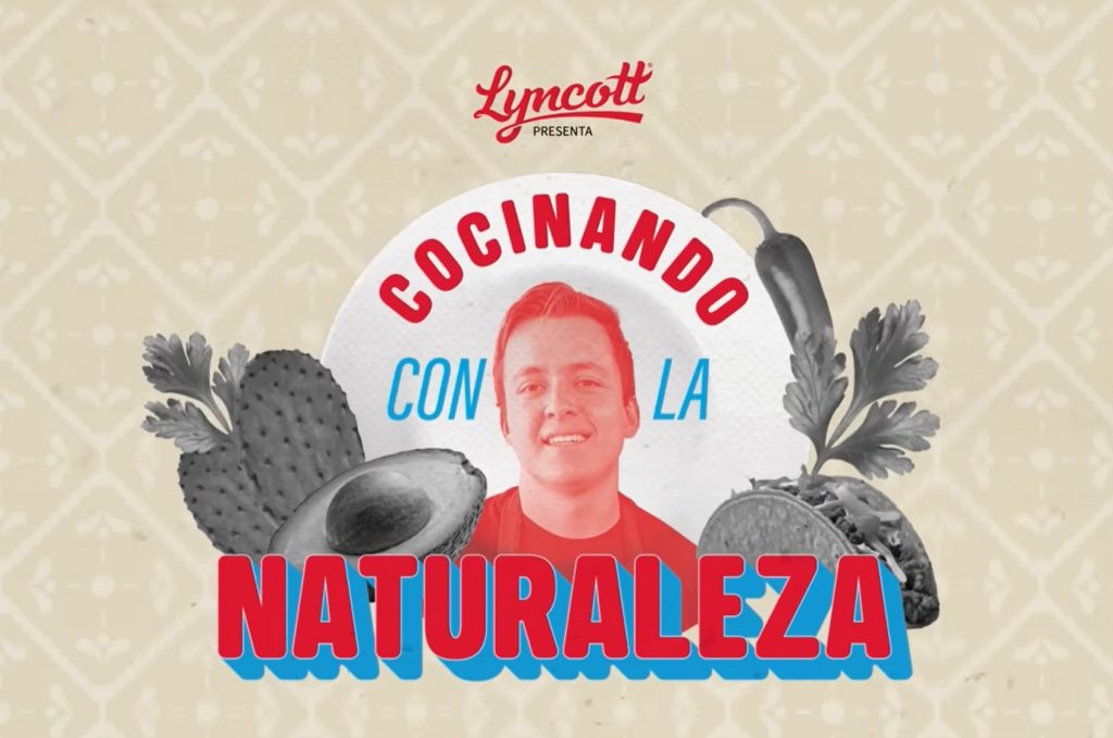Lyncott