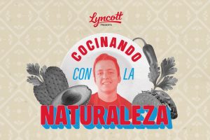 Lyncott