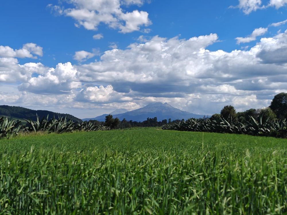 Tlaxcala verde