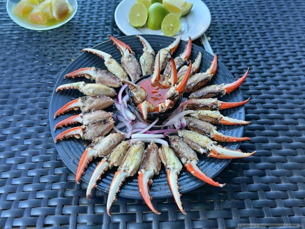 Comer en Mazatlán es una delicia y hacerlo en cualquiera de estos restaurantes lo es aún más.