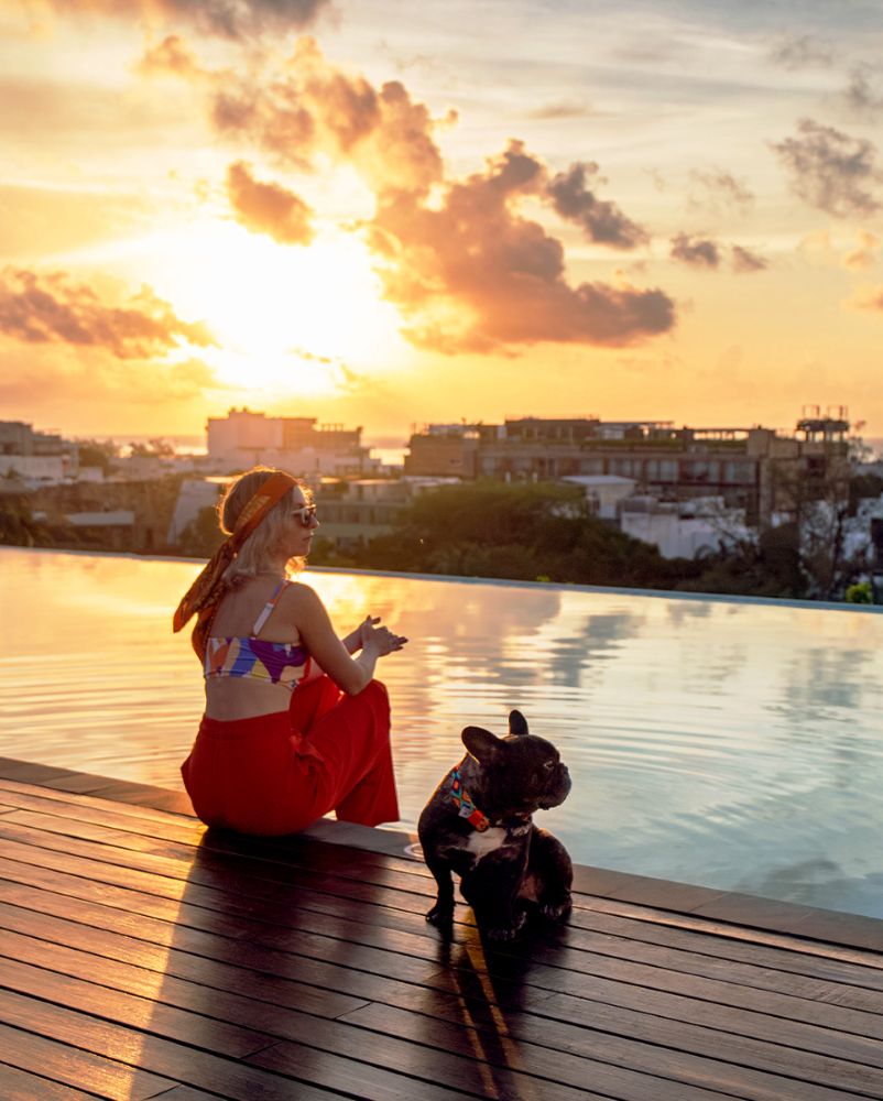 Aloft Playa del Carmen pet friendly