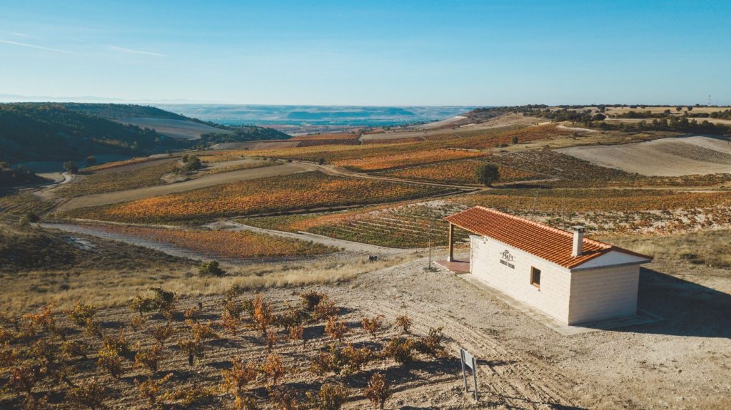 Emilio Moro Bodegas