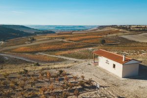 Emilio Moro Bodegas