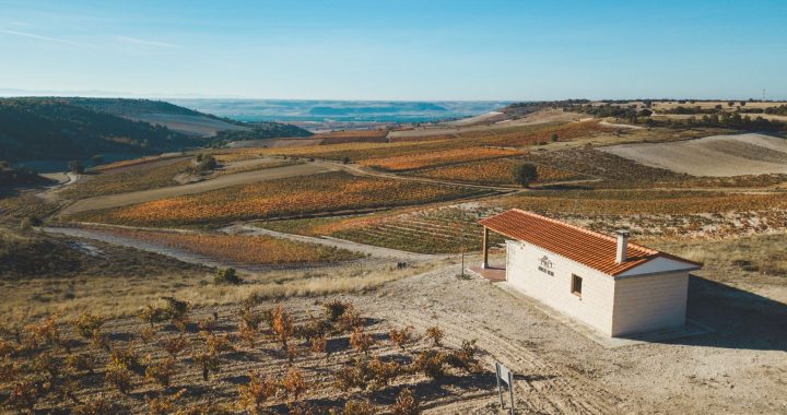 Emilio Moro Bodegas