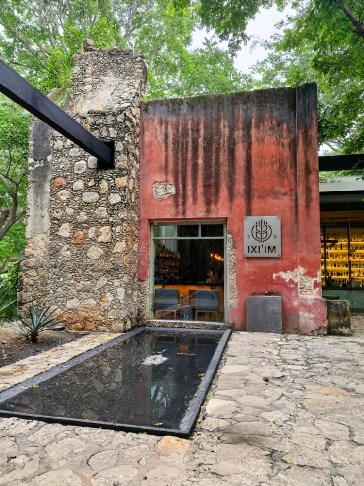 Ixi'im restaurante Yucatán estrella Michelin chef Luis Ronzón (1)