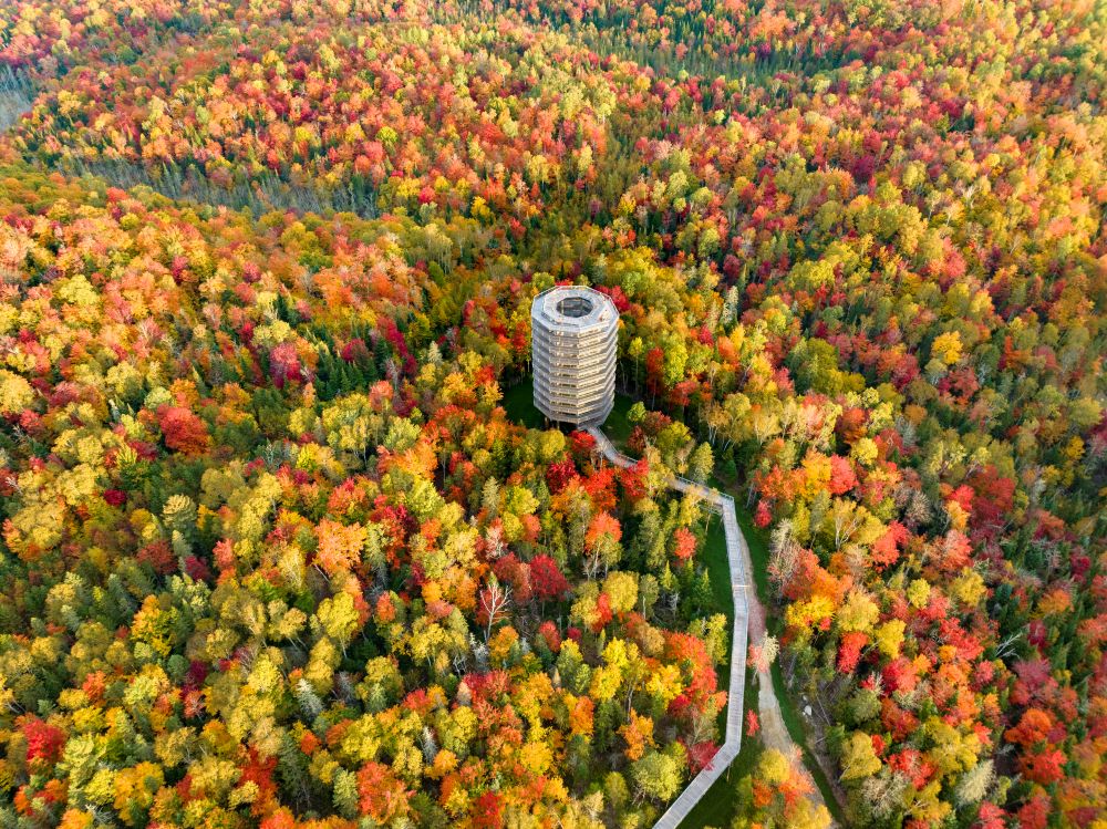 Sentier des cimes otoño en laurentides