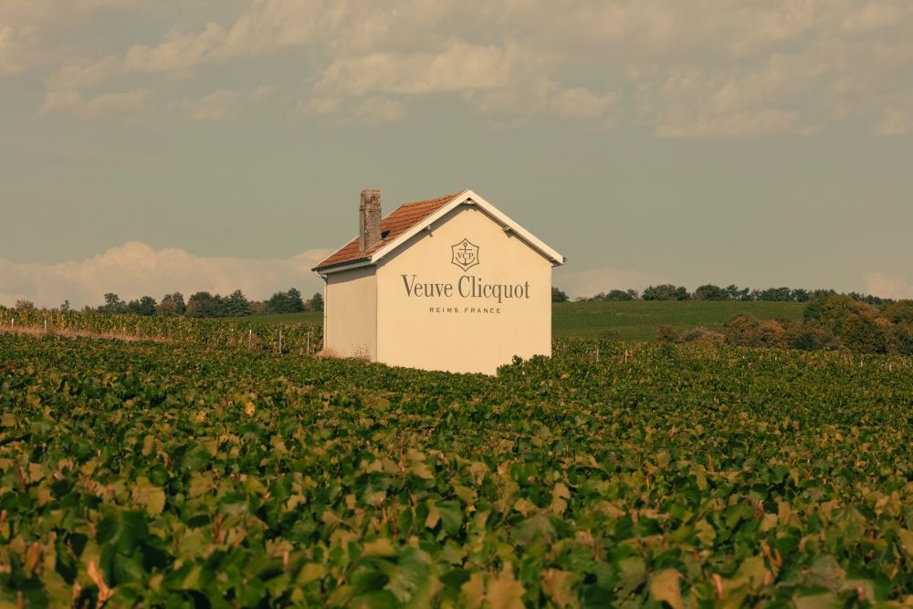 veuve clicquot vineyard emirates