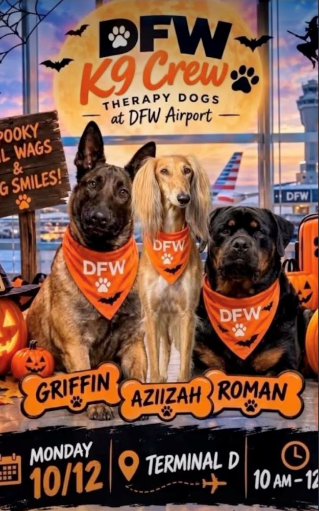 Aeropuerto DFW (1)