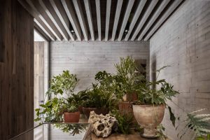 DEALER DE PLANTAS_JARDIN A LA MESA_BAJA Vivero Boutique