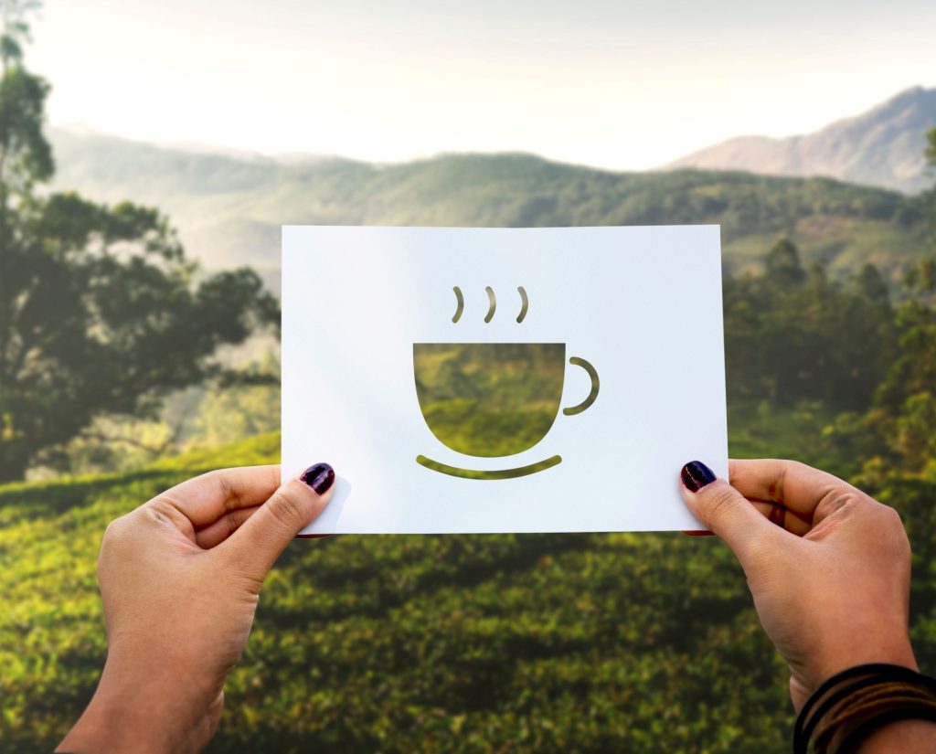 Estos son los destinos en donde el café es más que sólo una bebida, es un estilo de vida y también es cultura.