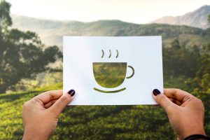 Estos son los destinos en donde el café es más que sólo una bebida, es un estilo de vida y también es cultura.