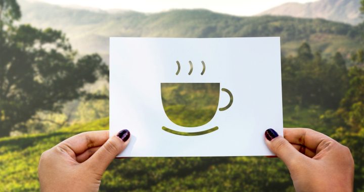 Estos son los destinos en donde el café es más que sólo una bebida, es un estilo de vida y también es cultura.