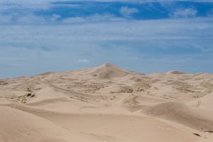 Dunas de Samalayuca