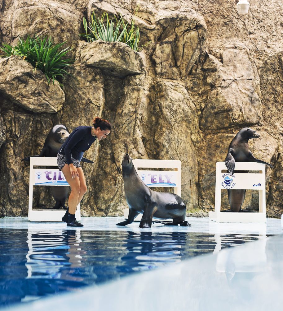 Gran Acuario Mazatlán (1)