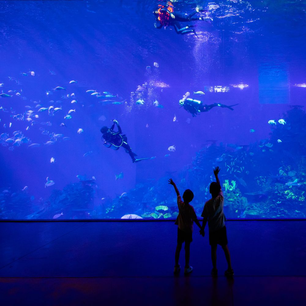Gran Acuario Mazatlán (2)