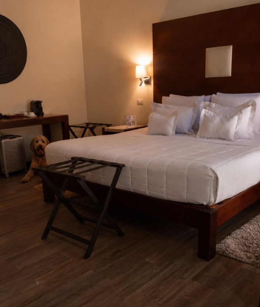 Hotel boutique La Morada San Miguel de Allende (1)