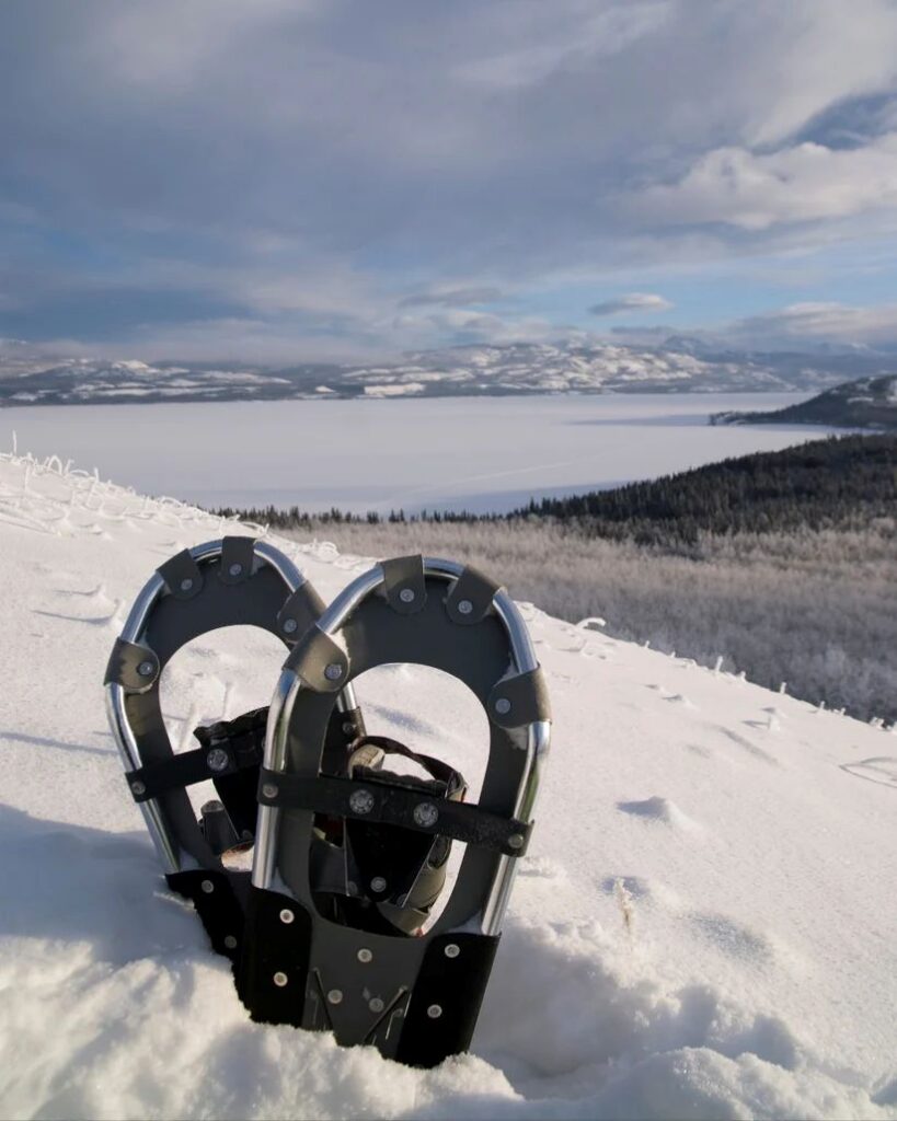 Kluane National Park (1)