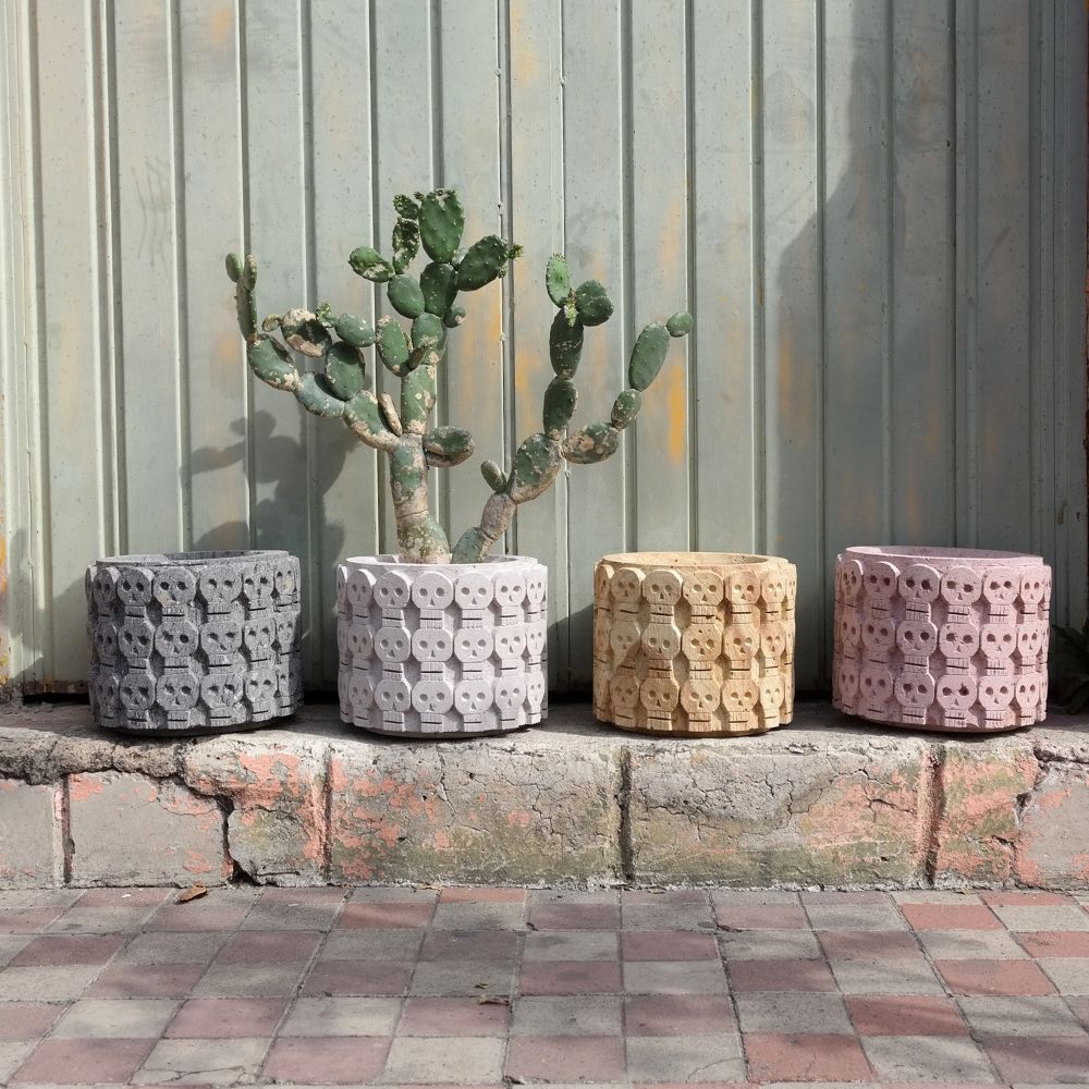 PIEDRA FUEGO_2017 tzom - Aldo Álvareztostado Vivero Boutique