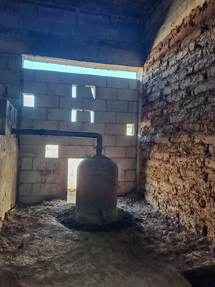 Sotol Chihuahua (5)
