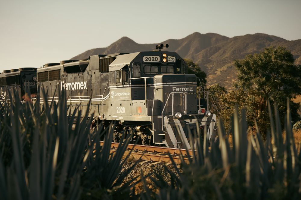 Tequila Express Día de Muertos (1)
